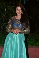 Nikki Galrani Photo Gallery